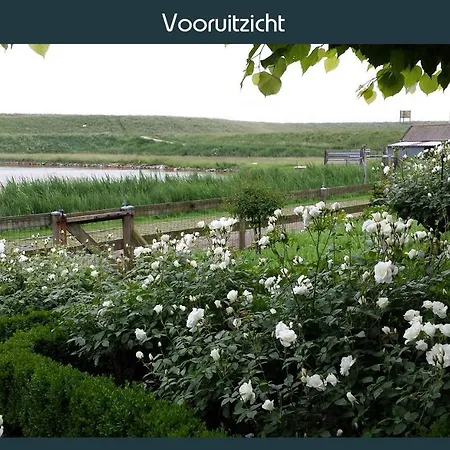 Vakantiewoning Deltahof Ellewoutsdijk Exterior photo