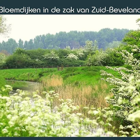 Vakantiewoning Deltahof Ellewoutsdijk Exterior photo