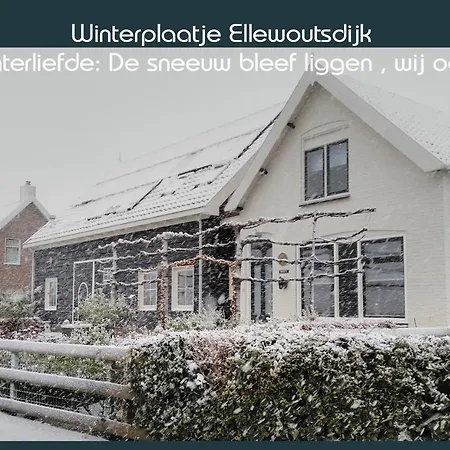 Vakantiewoning Deltahof Ellewoutsdijk Exterior photo