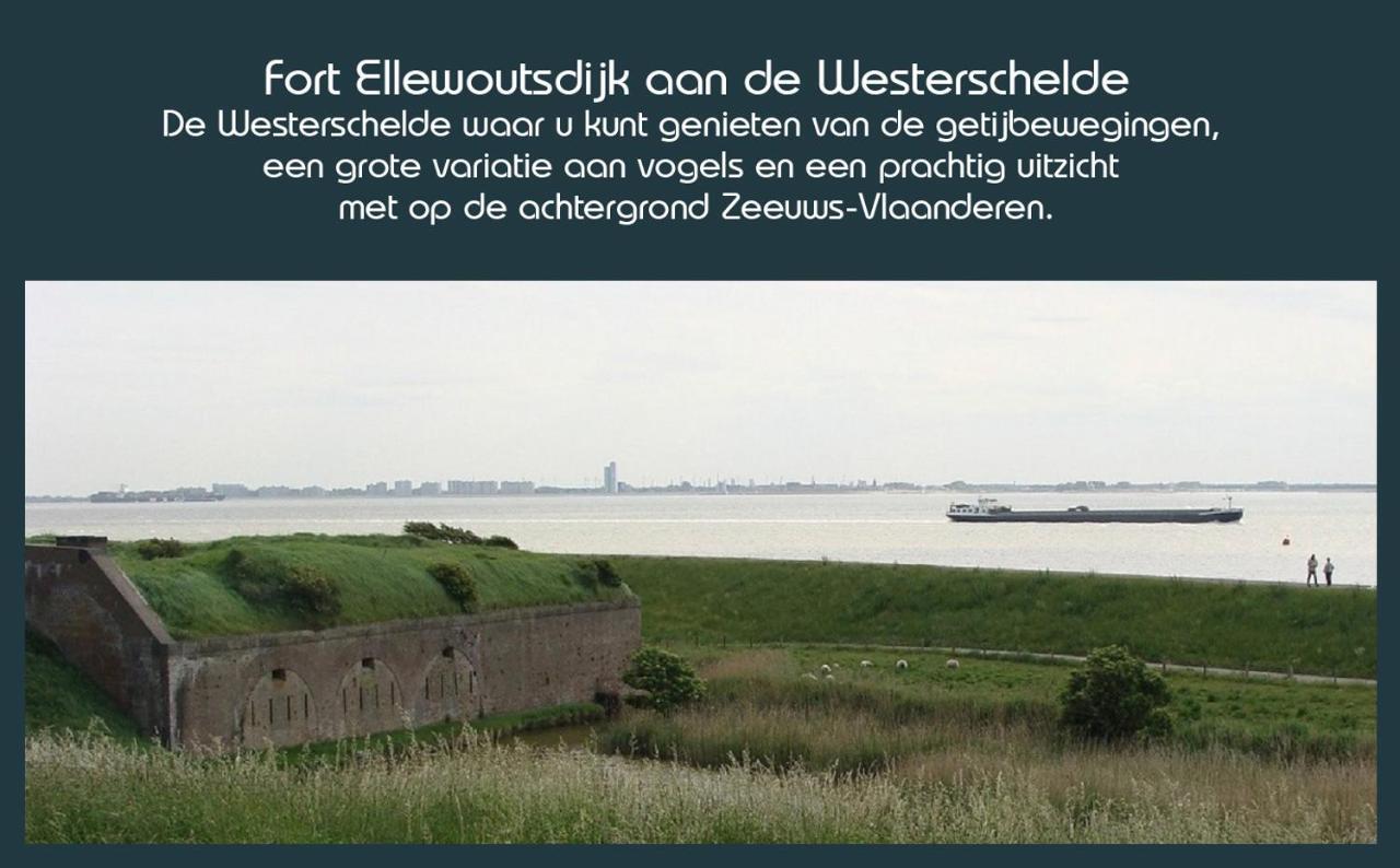 Vakantiewoning Deltahof