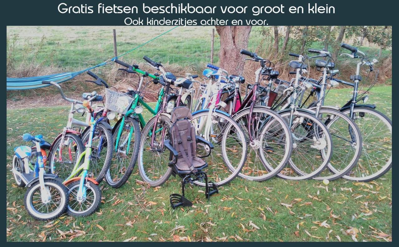 Vakantiewoning Deltahof Holiday home Ellewoutsdijk
