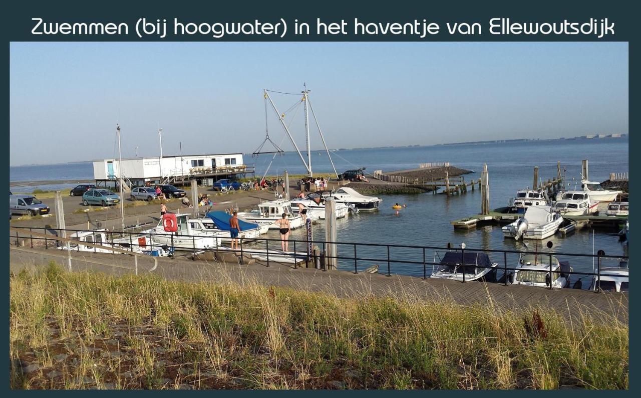 Vakantiewoning Deltahof *