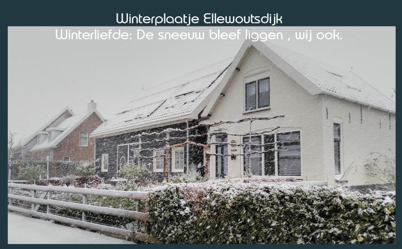 Vakantiewoning Deltahof