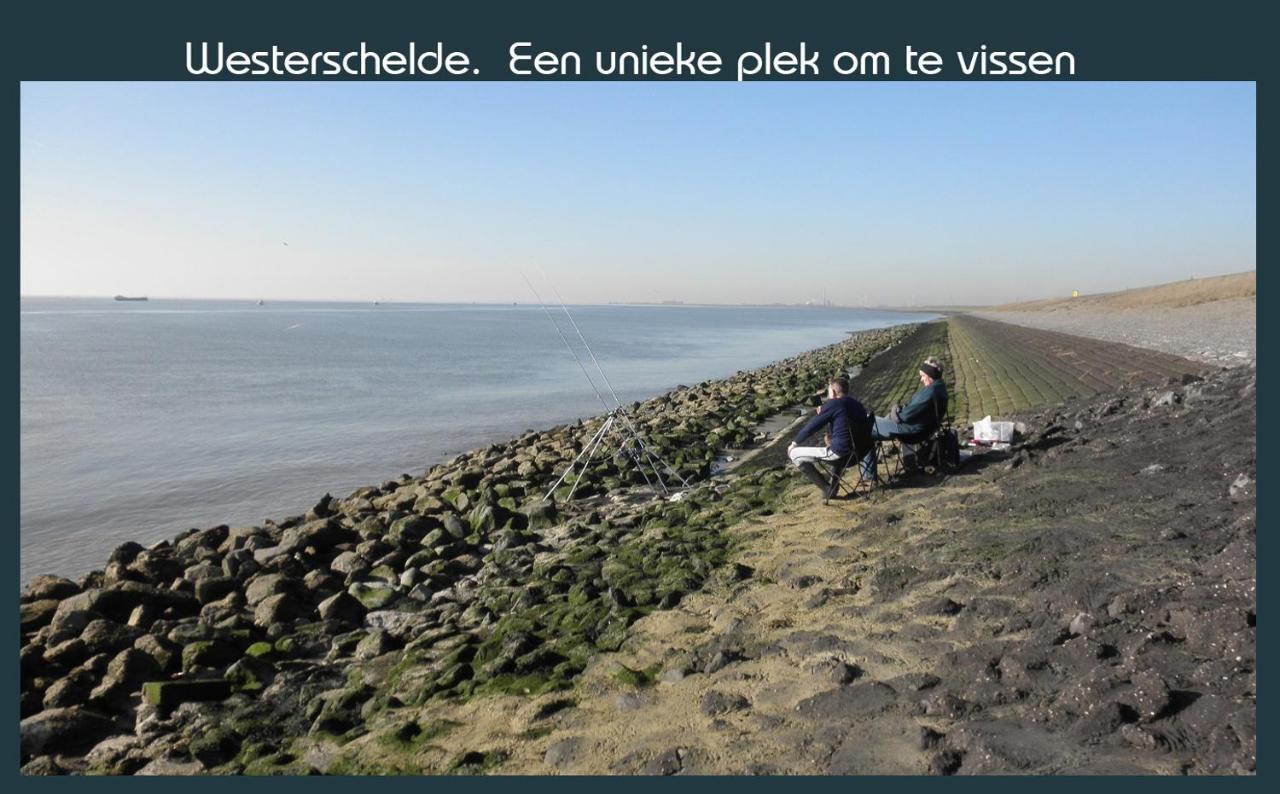 Vakantiewoning Deltahof Ellewoutsdijk